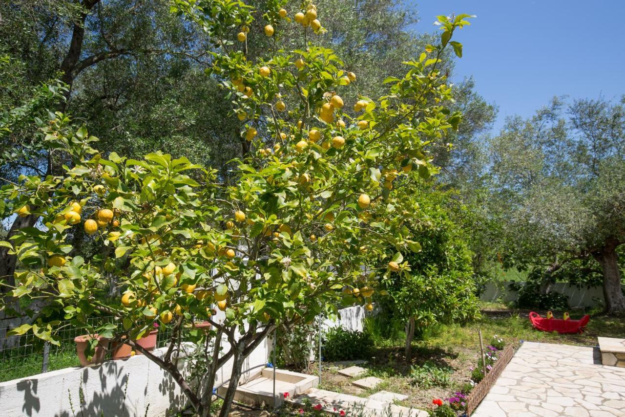Karia Holiday Home Lefkimmi  Exterior photo